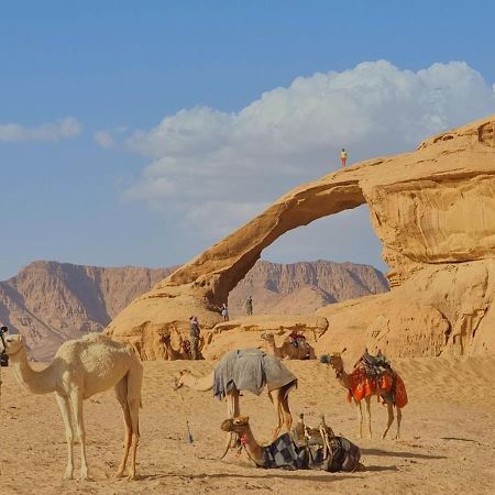 Wadi Rum Desert Camp Εξωτερικό φωτογραφία