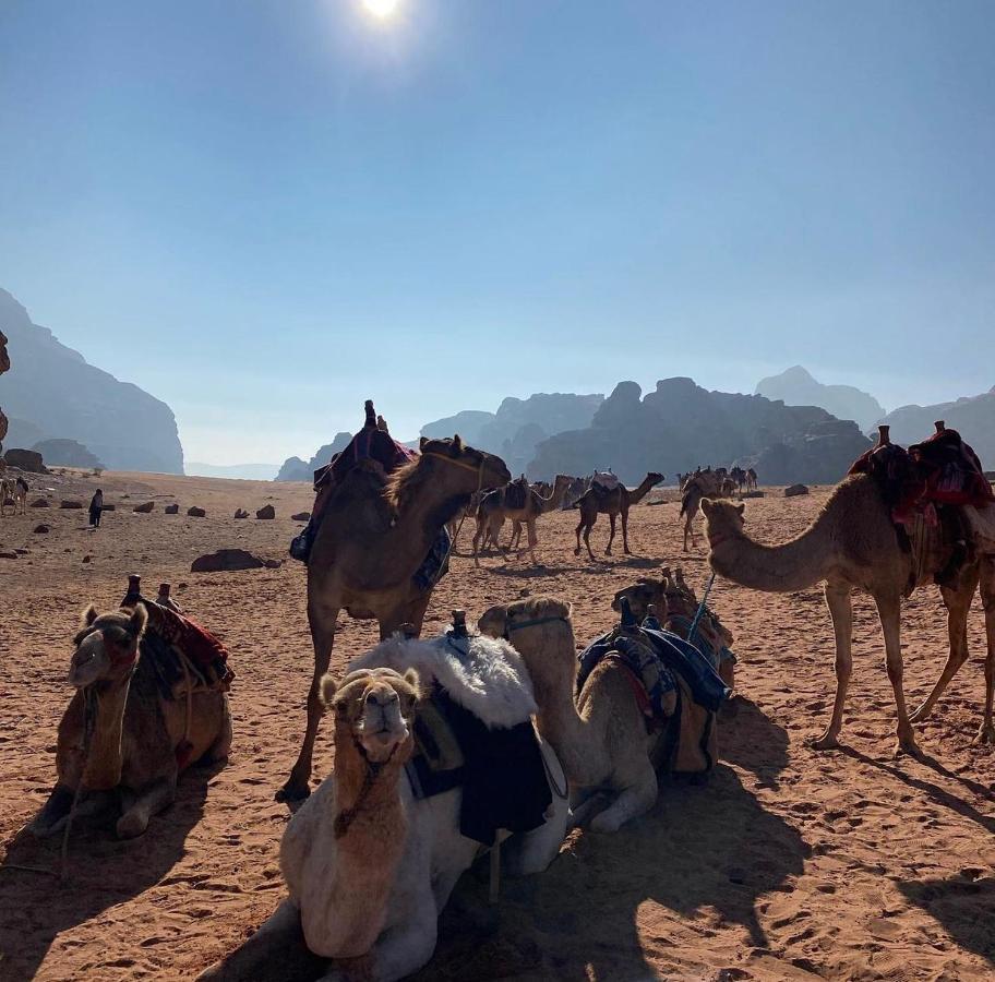 Wadi Rum Desert Camp Εξωτερικό φωτογραφία