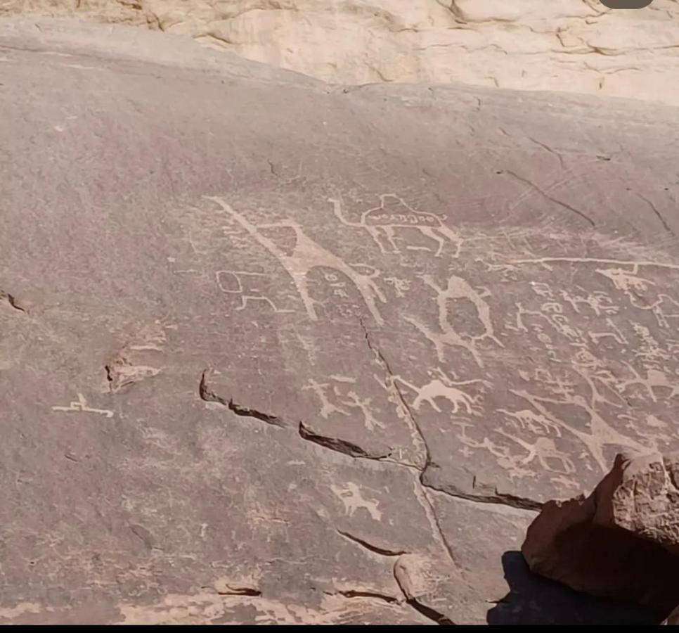 Wadi Rum Desert Camp Εξωτερικό φωτογραφία