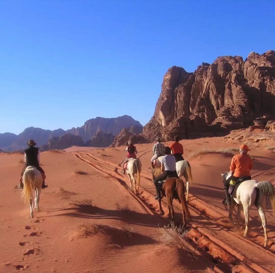 Wadi Rum Desert Camp Εξωτερικό φωτογραφία