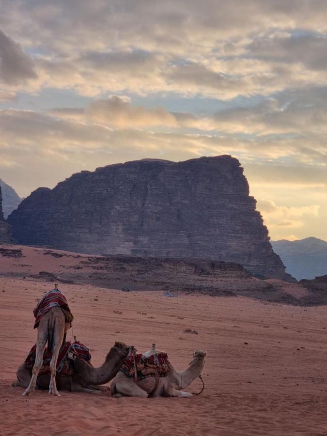 Wadi Rum Desert Camp Εξωτερικό φωτογραφία