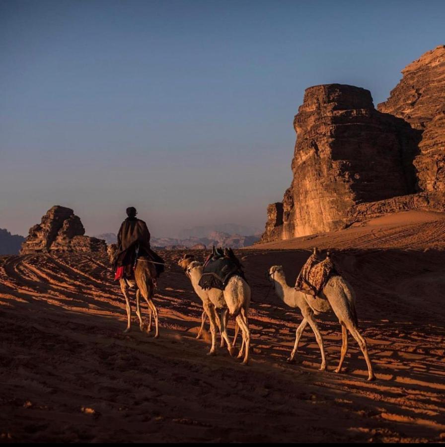 Wadi Rum Desert Camp Εξωτερικό φωτογραφία