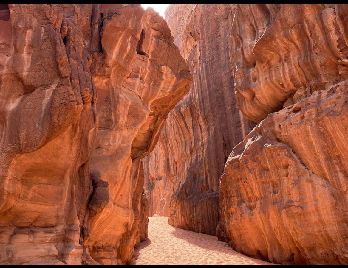 Wadi Rum Desert Camp Εξωτερικό φωτογραφία